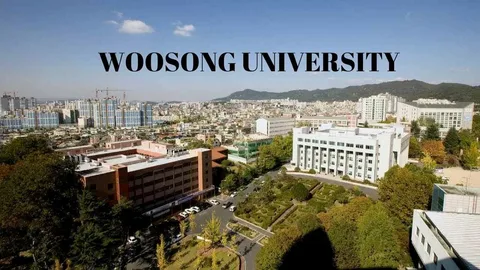 Vosong Universiteti (Koreya)