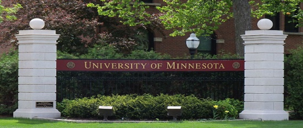 Minnesota Universiteti (AQSh)
