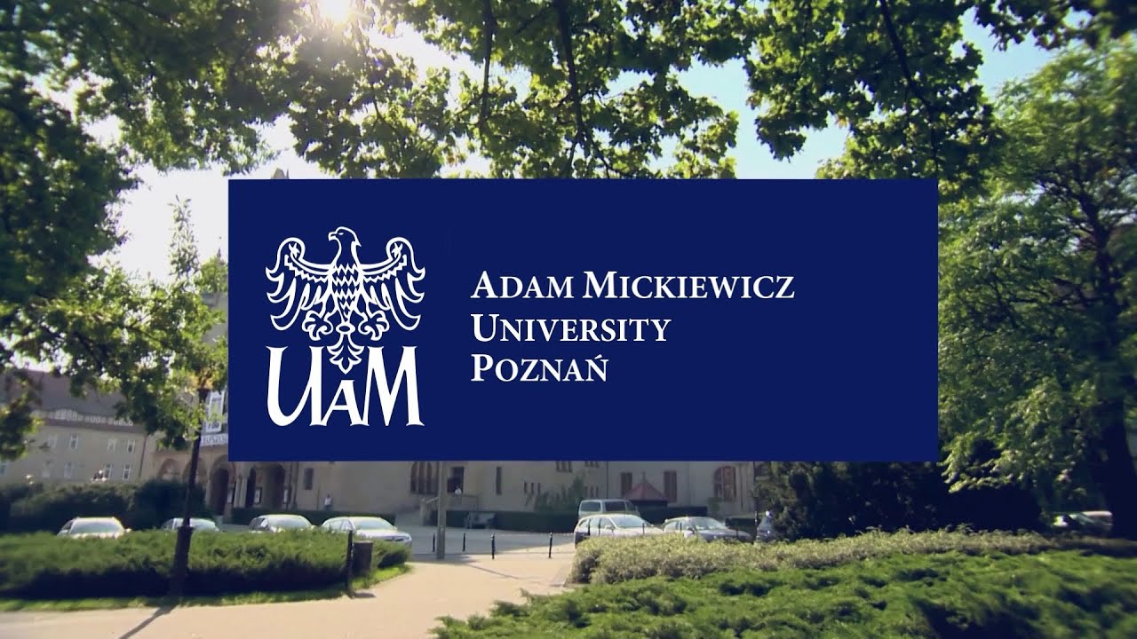 Yevropaning Top Universitetida 1 semestrlik bepul ta'lim!